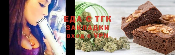 индика Пестово