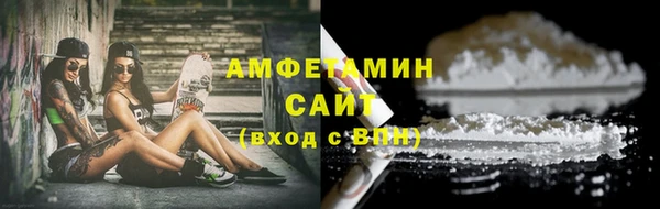 индика Пестово