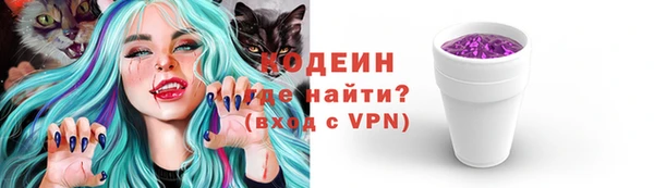 индика Покровск