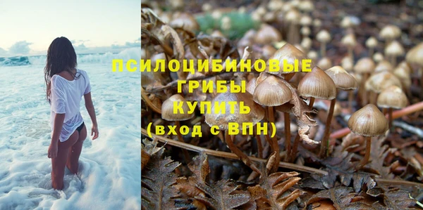 ГАЛЛЮЦИНОГЕННЫЕ ГРИБЫ Пересвет
