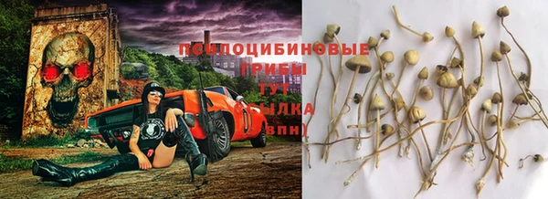 стаф Галич