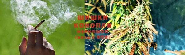 прущие крисы Покачи